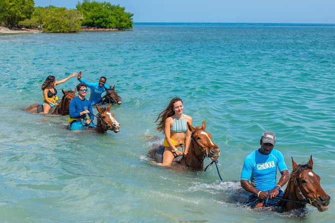 Horseback Ride and Swim from Ocho Rios - Richmond and Llandovery Estates: The Ride Part That Makes It Worth It