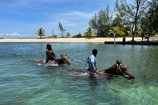 Horseback Ride and Swim Guided Tour from Montego Bay - Sand N Saddle in Montego Bay: what you are really buying