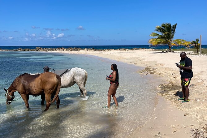 Horseback Ride and Swim Guided Tour from Montego Bay - Included value at $160: transport, gear, and a full guided flow