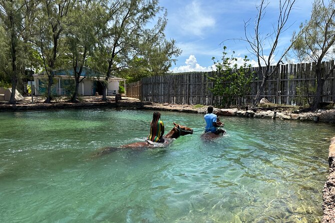 Horseback Ride and Swim Guided Tour from Montego Bay - Who this tour suits best (and who should skip it)