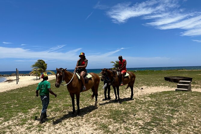 Horseback Ride and Swim Guided Tour from Montego Bay - Timing, expectations, and how to get a better ride