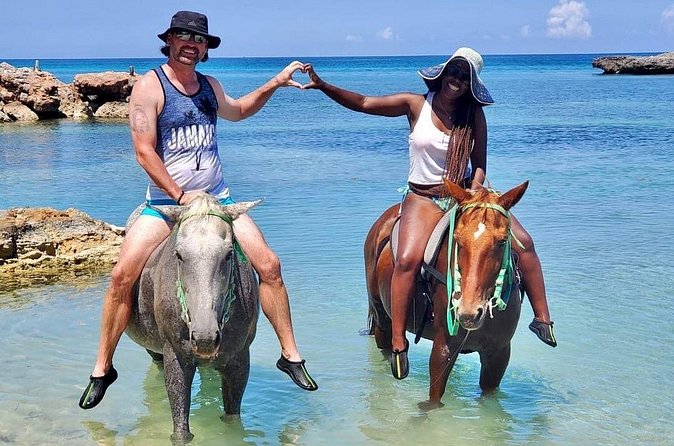 Horseback Ride and Swim Jamaica - Horses and guides: safety, comfort, and respectful animal care