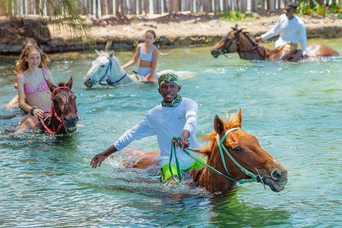Horseback Ride and Swim Jamaica - The ride route: banana and bees, then a beach approach