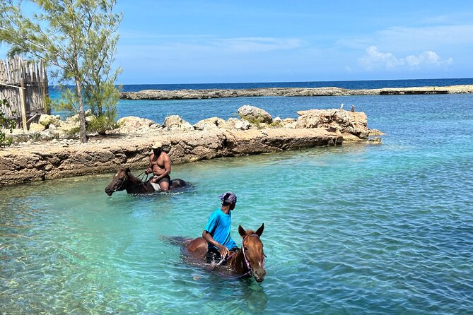 Horseback Ride and Swim Tour In Montego Bay - Price and Value: Is $170 a Good Deal?