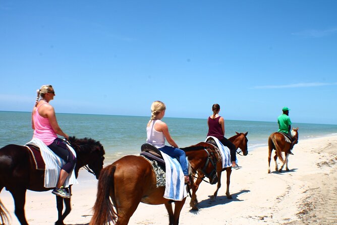 Horseback Ride ATV and Bamboo Rafting Tour Ocho Rios in Jamaica - Who this tour fits best, and who might want a different plan