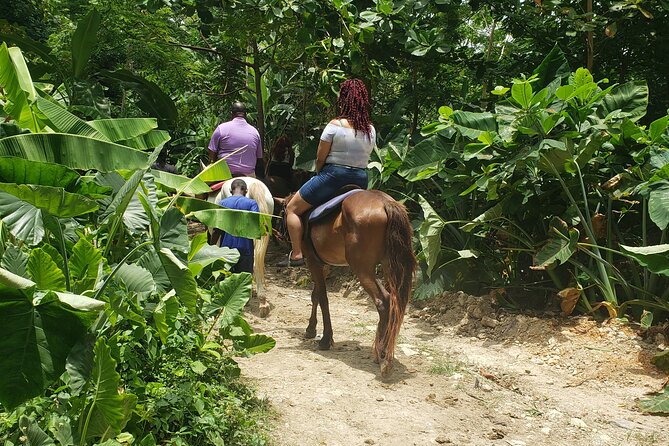 Horseback 'Ride N Swim' & Dunns River Falls from Montego Bay - Key Highlights You Will Actually Care About