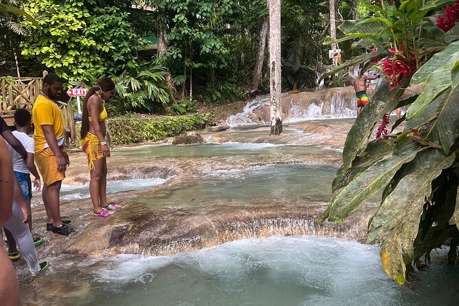 Horseback 'Ride N Swim' & Dunns River Falls from Montego Bay - Price and Value at Around $102 Per Person