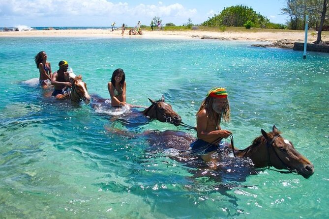 Horseback Ride & Swim Jamaica/Montego Bay - Key Highlights You Should Know Before Booking