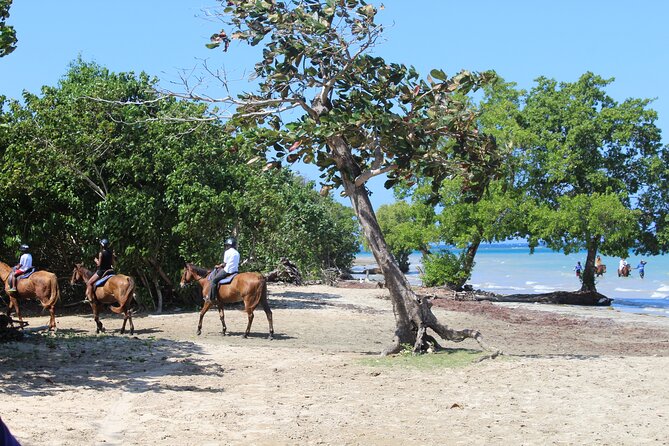 Horseback Ride & Swim Jamaica/Montego Bay - The Beach Arrival and the Caribbean Swim Moment