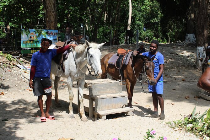 Horseback Ride & Swim Jamaica/Montego Bay - Guides, Horses, and the Photo Help You Actually Need