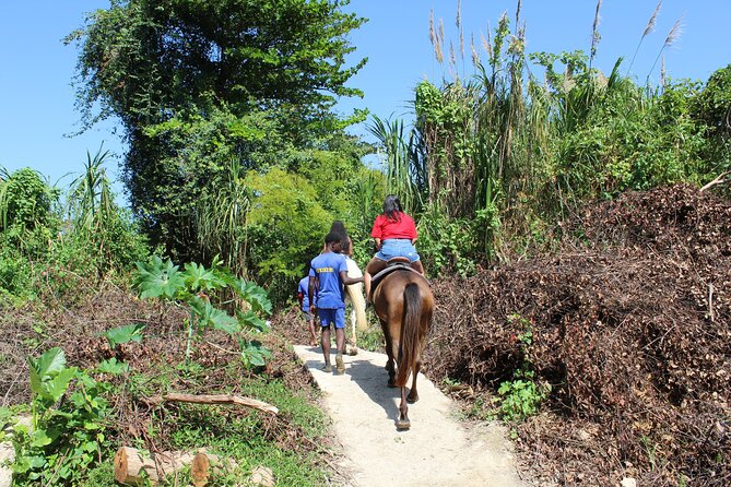 Horseback Ride & Swim Jamaica/Montego Bay - Price and Value: Is $150 Fair for This Montego Bay Day?