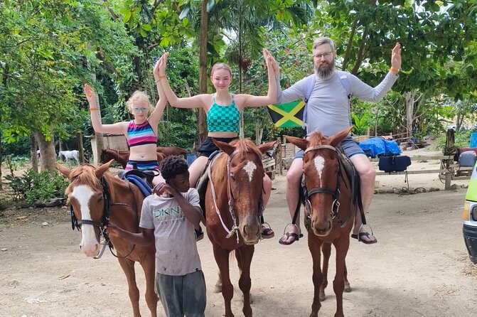 Horseback Riding and Swim Experience - The Horses: Calm Partners, Not a Chaos Test