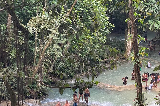Horseback Riding and Swimming then Dunn's River Falls - Should You Book This Horseback Riding and Dunn’s River Falls Tour?