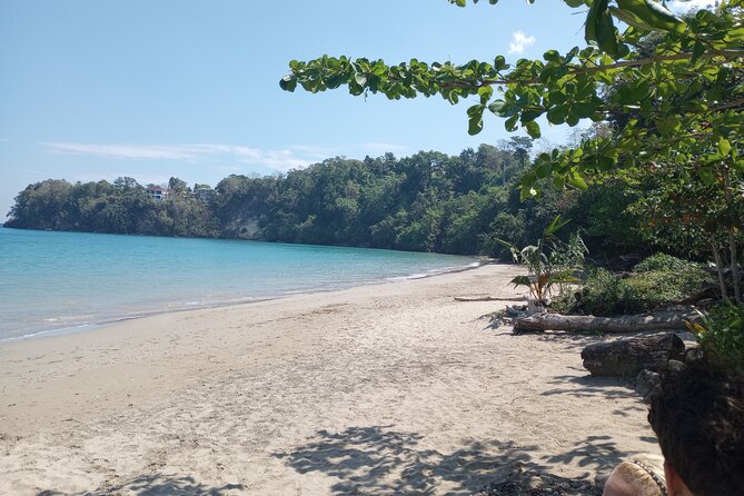 Horseback riding, Blue hole or Dunn's River Combo - Safety, fitness, and who this tour suits best