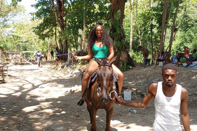 Horseback riding, Blue hole or Dunn's River Combo - Getting there smoothly in a private, air-conditioned vehicle