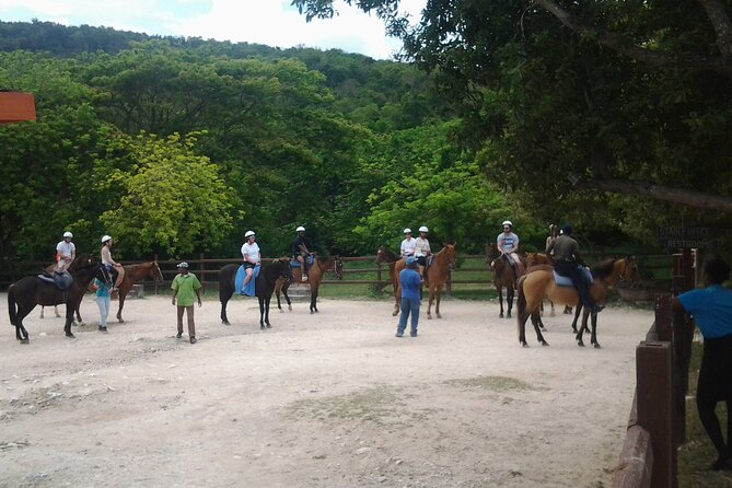 Horseback Riding Dunn's River Falls Adventure from Montego Bay - Price and what to budget for at $186.35