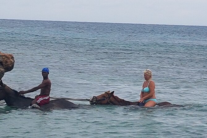 Horseback Riding Dunn's River Falls Adventure from Montego Bay - Comfort checklist for a half-day outdoors ride
