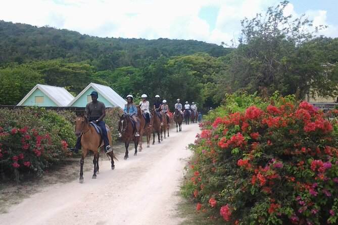 Horseback Riding Dunn's River Falls Adventure from Montego Bay - Who this tour fits best (and who should think twice)