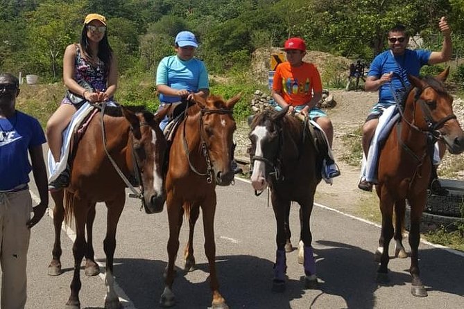 Horseback Riding from Montego Bay - Beach and Water Time: The Part Everyone Remembers