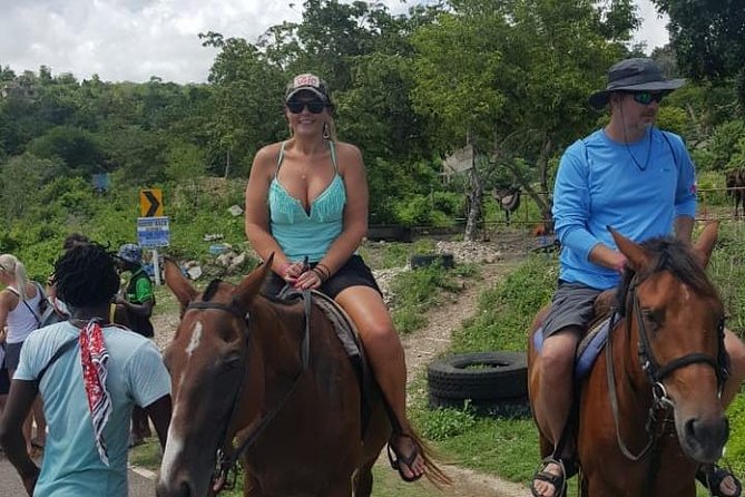 Horseback Riding from Montego Bay - Price and Value: What $200 Per Person Actually Buys