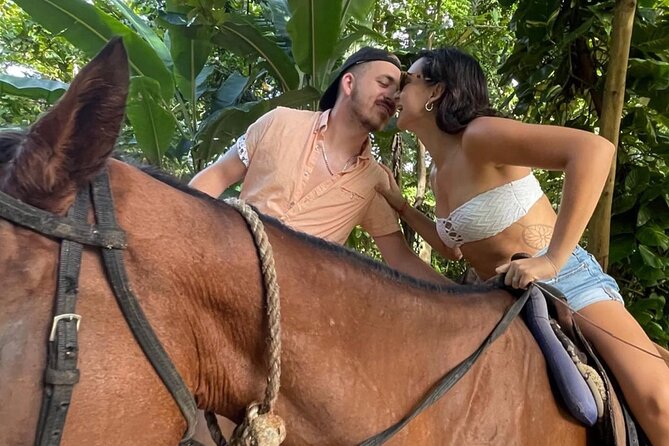 Horseback Riding In The Ocean from Montego Bay Private Transfer - Best fit: who will love this the most
