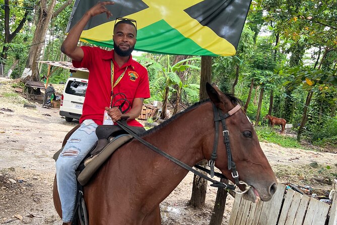Horseback Riding In The Ocean from Montego Bay Private Transfer - The Montego Bay private transfer, the part you will actually feel