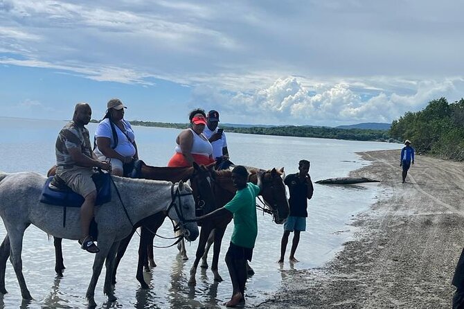 Horseback Riding in the Ocean from Ocho Rios & Runaway Bay - Arriving at the beach base: guidance, not just horses