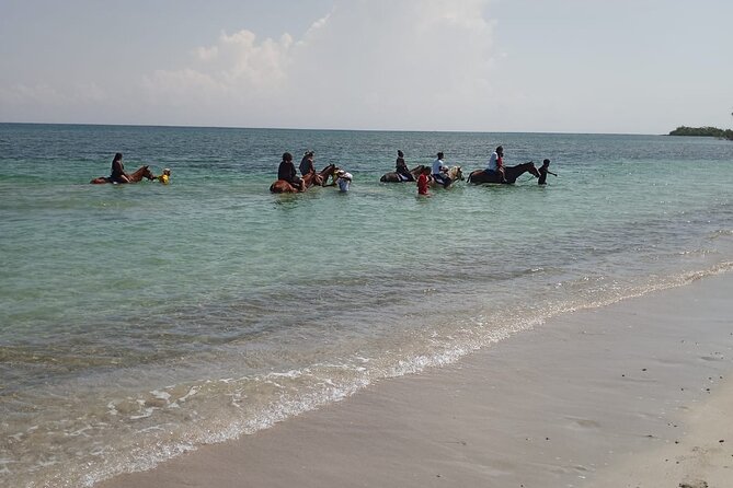 Horseback Riding plus Dunns River Falls Combo Private Tour - What to bring (and what to plan for) for a 5 to 6 hour day