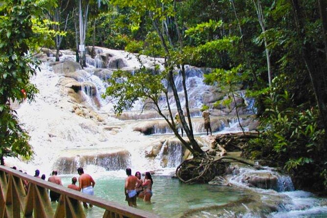 Horseback Riding plus Dunns River Falls Combo Private Tour - Dunn’s River Falls: wet climb vs dry climb, and how to pick