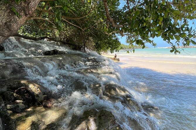 Horseback Riding/Swimming and Dunn's River from Ocho Rios - Dunn’s River Falls: The 600-Foot Limestone Climb (and Why It Matters)