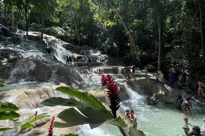 Horseback Riding/Swimming and Dunn's River from Ocho Rios - Who Should Book This Tour, and Who Might Skip It