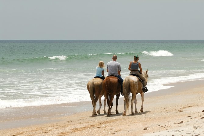 Horseback “SPECIAL”- Negril’s Beach Ride N’ Swim with Free photos/videos - Entering Negril’s shoreline world, trail first, ocean last