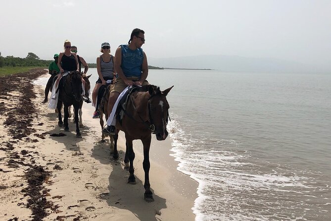 Horseback “SPECIAL”- Negril’s Beach Ride N’ Swim with Free photos/videos - What you’ll learn on the ride, medicinal plants and local land use