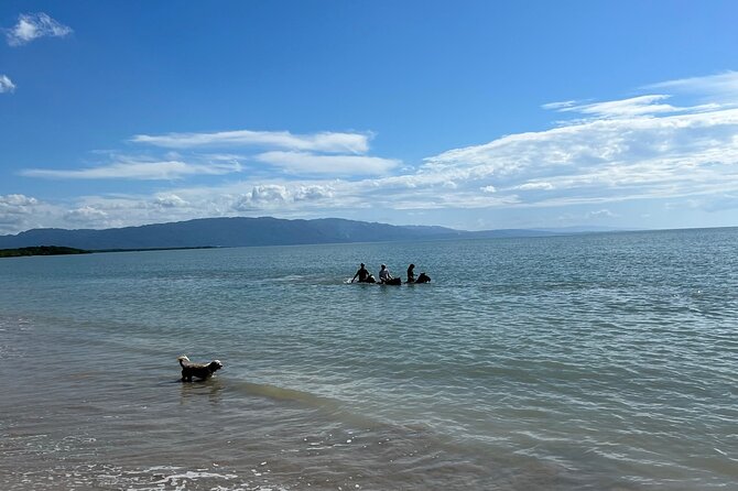 Horseback “SPECIAL”- Negril’s Beach Ride N’ Swim with Free photos/videos - Price and value: is $90 per person fair?
