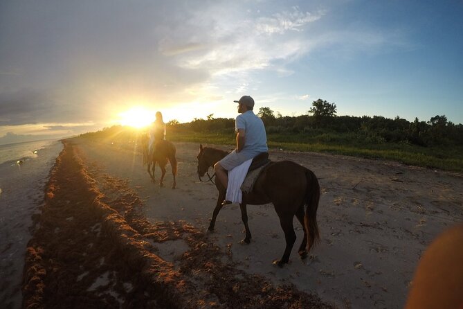 Horseback “SPECIAL”- Negril’s Beach Ride N’ Swim with Free photos/videos - The horses: calm, quiet, and ready for first-timers