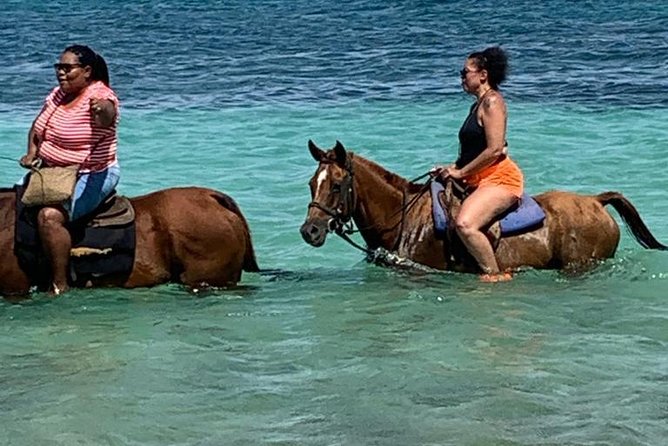 Hour Horseback Riding Guided Tour from Runaway Bay - Key things you should know before you go