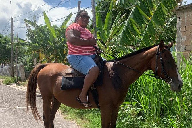 Hour Horseback Riding Guided Tour from Runaway Bay - Why this 1-hour horseback ride feels like a real Jamaica day