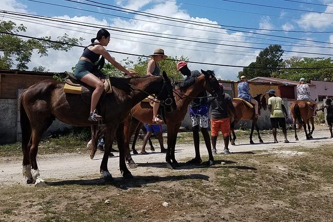Hour Horseback Riding Guided Tour from Runaway Bay - Beach ride plus optional ocean swim (and a river option too)