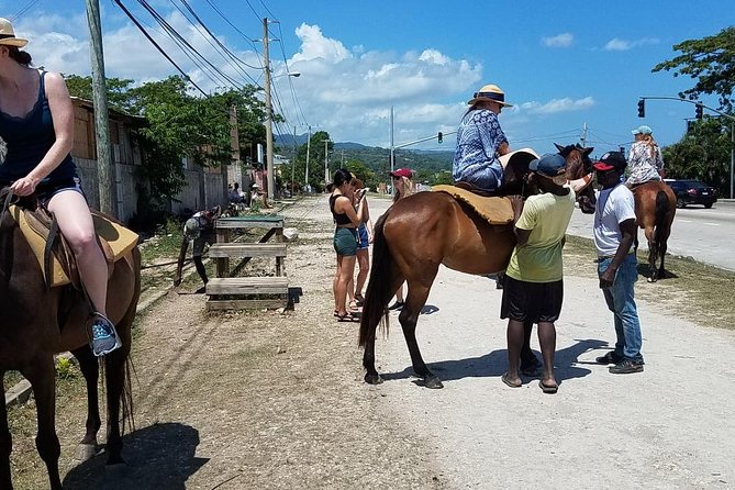 Hour Horseback Riding Guided Tour from Runaway Bay - The stables and surroundings, and how to set expectations