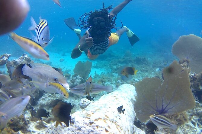 Incredible Negril Guided Snorkeling To Reef, Anchor, and Cannon - Key things I’d put on your radar