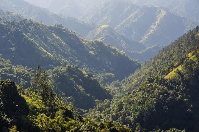 Jamaica Blue Mountain Guided Nature Tour - Key Highlights You Should Know