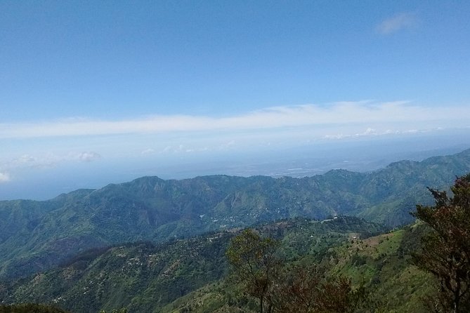 Jamaica Blue Mountain Guided Nature Tour - Blue Mountains Day Trip That Actually Feels Like a Day Off