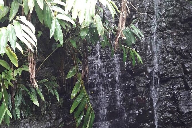 Jamaica Blue Mountain Guided Nature Tour - New Castle, St. Andrew: Old British Barracks With Southern Kingston Views