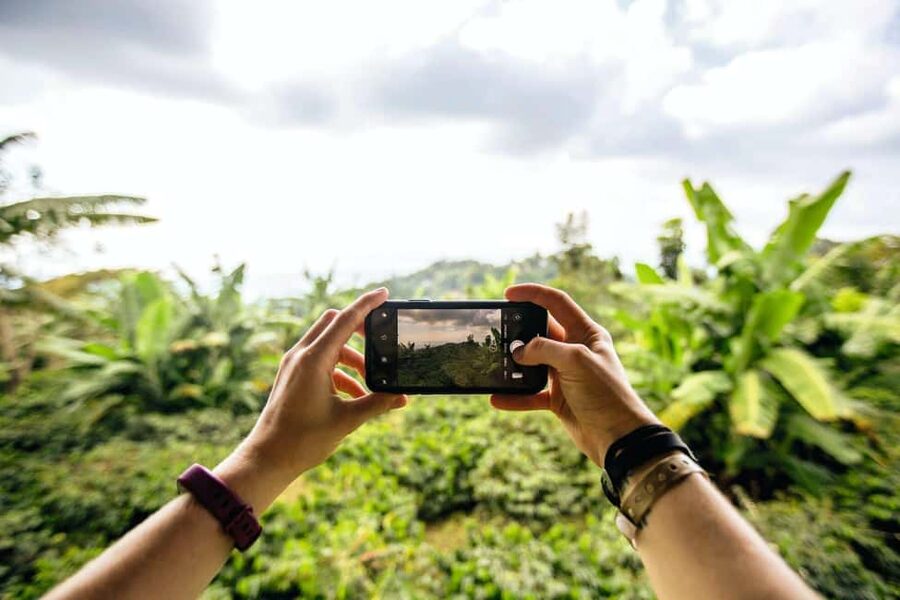 Jamaica: Blue Mountains Full Day Tour with Brunch & Lunch - Key points to know before you go