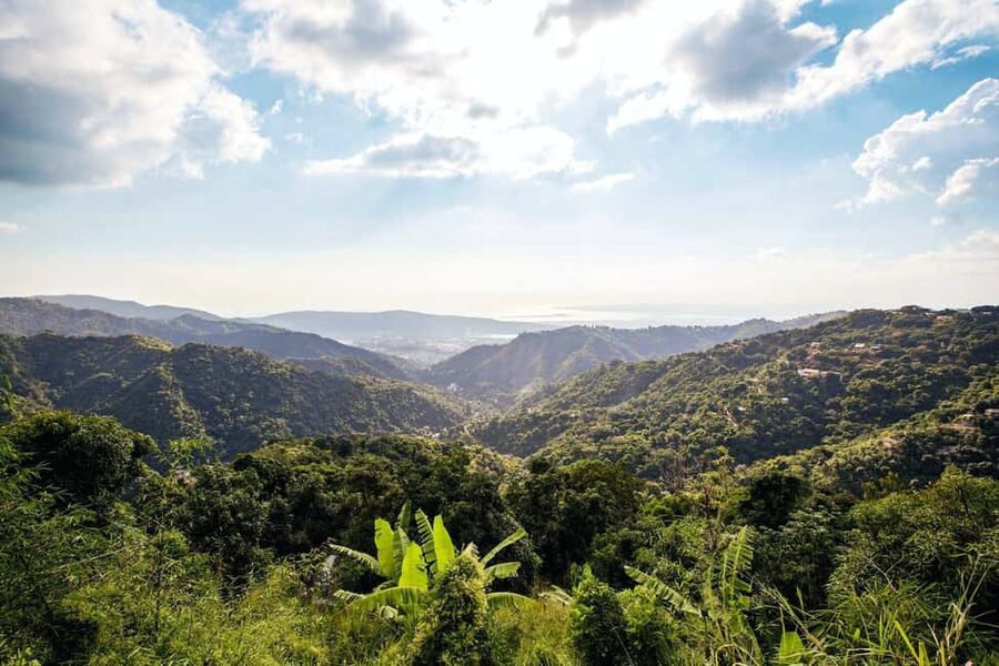 Jamaica: Blue Mountains Full Day Tour with Brunch & Lunch - Leaving the Montego Bay area behind, then settling into an 8-hour mountain day