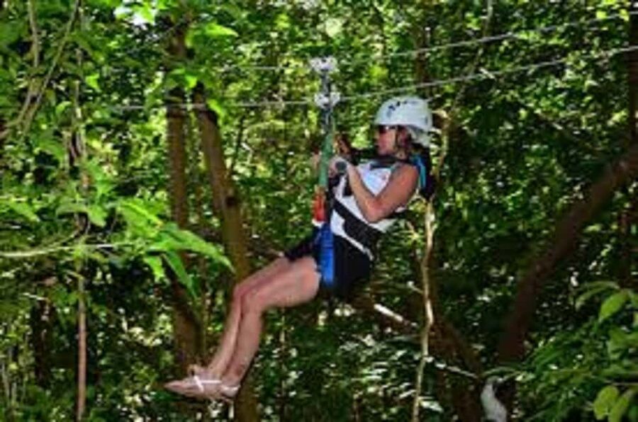 Jamaica Bobsled and Zip Line Adventure Tour - Quick Hits Before You Go