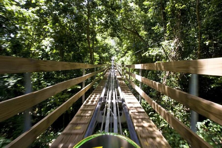 Jamaica Bobsled and Zip Line Adventure Tour - From Hotel Pickup to Sky Explorer Views Over Ocho Rios