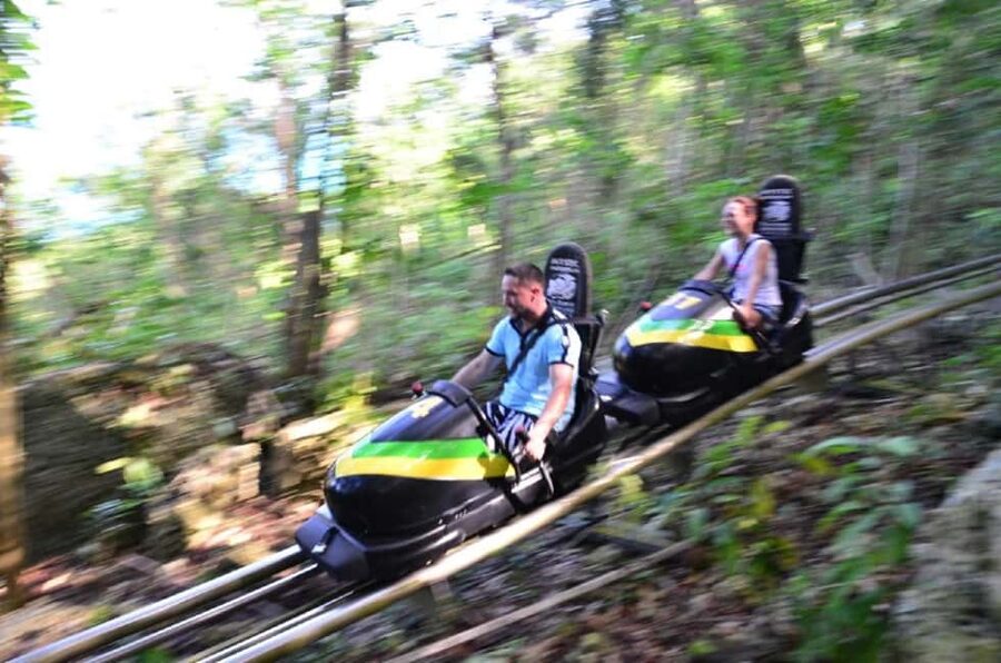 Jamaica Bobsled and Zip Line Adventure Tour - How the Jamaica Bobsled Ride Works (and Why the Handbrake Matters)
