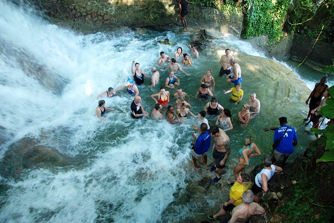 Jamaica Combo Tour: Dunn's River Falls and Bob Marley’s Nine Mile - Key highlights you should care about