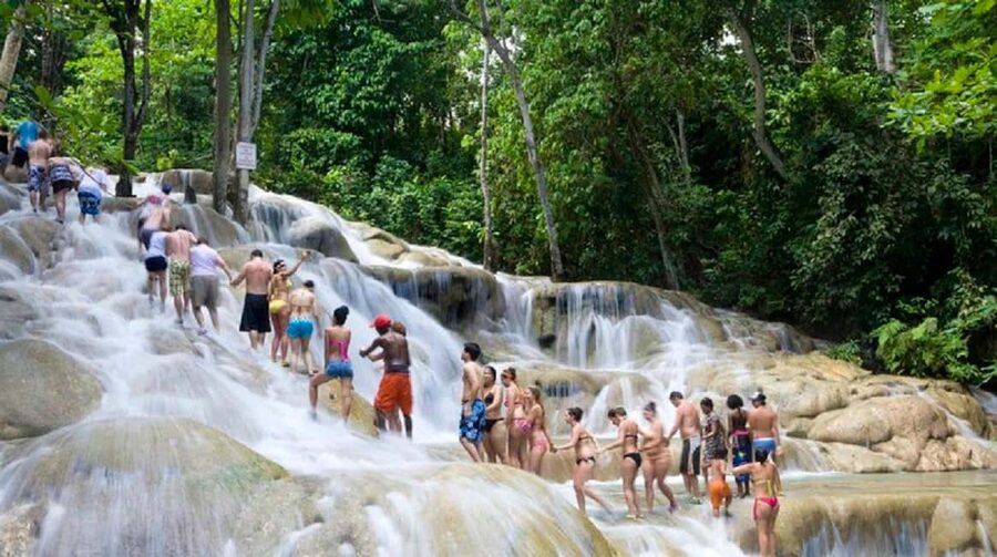 Jamaica: Dunn’s River Falls and Jungle River Tubing Tour - What the guides do that keeps the day smooth
